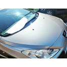 Motorhaube Peugeot 307 CC Farbcode ETSC Aschgrau Metallic Grau