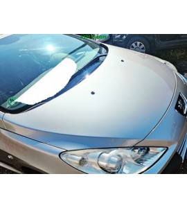 Motorhaube Peugeot 307 CC Farbcode ETSC Aschgrau Metallic Grau