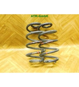 Feder Federn x 2 Stück hinten Renault Clio 3 III Kombi