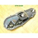 Lampenträger Leuchte Rückleuchte links Citroen C1 3 türig Fahrerseite 2568