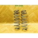 Feder Federn x 2 Stück hinten Seat Ibiza 4 IV