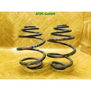 Feder Federn x 2 Stück hinten Opel Corsa C 5 türig