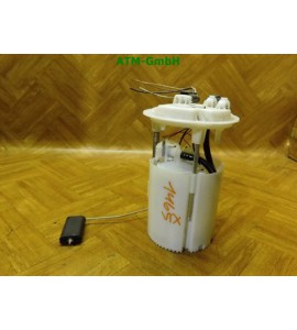 Kraftstoffpumpe Benzinpumpe Renault Megane 3 III 0580200026 172020029R