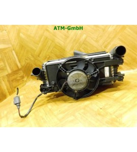 Elektrolüfter Lüfter Kühlerlüfter Ford Focus 3 III CV619L440VC BV618C607SC