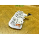 Leseleuchte Innenraumlicht Innenraumbeleuchtung Renault Megane 3 III