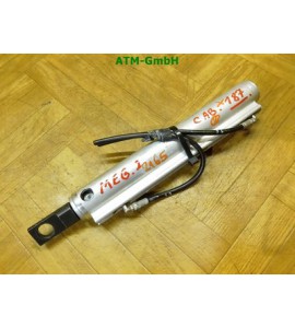 Gasdruck Gasdämpfer Dach Renault Megane 2 II Cabrio 1588-030-D LA152021CEL1