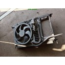 Wasserkühler Elektrolüfter Lüfter Citroen C4 Valeo 9680533480 9656525880