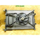 Wasserkühler Kühlerlüfter Elektrolüfter Renault Megane 2 II 872206D 8200115541A