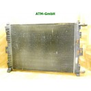 Wasserkühler Kühlerlüfter Elektrolüfter Renault Megane 2 II 872206D 8200115541A