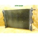 Wasserkühler Kühlerlüfter Elektrolüfter Renault Megane 2 II 872206D 8200115541A