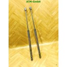 Gasdruck Gasdämpfer Heckklappendämpfer x 2 Stück hinten Dodge Caliber