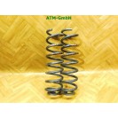 Feder Federn x 2 Stück hinten Renault Megane 2 II Cabrio Monroe