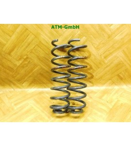 Feder Federn x 2 Stück hinten Renault Megane 2 II Cabrio Monroe