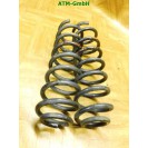 Feder Federn x 2 Stück hinten Renault Megane 2 II Cabrio Monroe