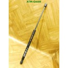 Gasdruck Gasdämpfer Heckklappendämpfer hinten 1 Stück Citroen C2 9641721980