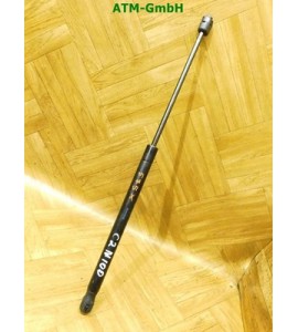 Gasdruck Gasdämpfer Heckklappendämpfer hinten 1 Stück Citroen C2 9641721980