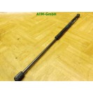 Gasdruck Gasdämpfer Heckklappendämpfer hinten 1 Stück Citroen C2 9641721980