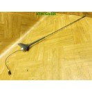 Fahrzeugantenne KFZ Antenne Citroen C2 9656073380