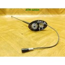 Fahrzeugantenne KFZ Antenne Citroen C2 9656073380