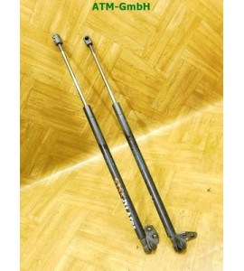 Gasdruck Gasdämpfer Heckklappendämpfer hinten x 2 Stück Hyundai Atos 81770-05520