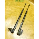 Gasdruck Gasdämpfer Heckklappendämpfer hinten x 2 Stück Hyundai Atos 81770-05520