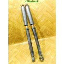 Federbein Pralldämpfer Stoßdämpfer x 2 Stück hinten Suzuki Swift 4 IV