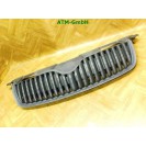 Frontgrill Kühlergrill Skoda Fabia 2 II 5J0853668