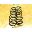 Feder Federn x 2 Stück hinten VW Käfer Beetle 5C1