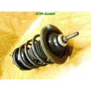 Federbein Pralldämpfer Stoßdämpfer vorne Ford Streetka