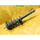 Federbein Pralldämpfer Stoßdämpfer vorne Ford Streetka