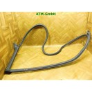 Türdichtung Dichtung vorne links VW Käfer Beetle 5C1 Fahrerseite