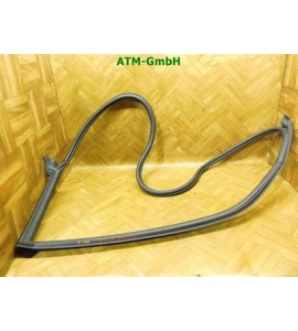 Türdichtung Dichtung vorne links VW Käfer Beetle 5C1 Fahrerseite