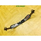 Abdeckung Blende Armaturenbrett Dekorleiste VW Käfer Beetle 5C1 5C1858079A