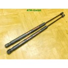 Gasdämpfer Gasdruck Heckklappendämpfer x 2 Stück hinten Kia Picanto 81780-07000