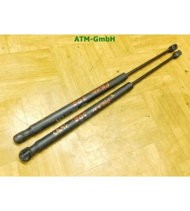 Gasdämpfer Gasdruck Heckklappendämpfer x 2 Stück hinten Kia Picanto 81780-07000