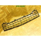 Stoßstangengitter Gitter Frontgrill Mercedes Benz A-Klasse W169 A1698850124