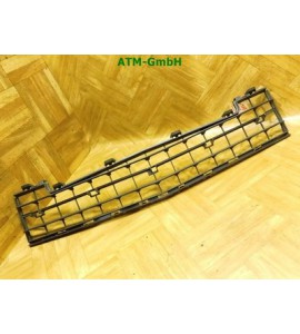 Stoßstangengitter Gitter Frontgrill Mercedes Benz A-Klasse W169 A1698850124