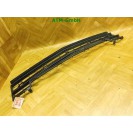 Stoßstangengitter Gitter Frontgrill Mercedes Benz A-Klasse W169 A1698850124