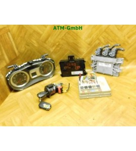 Motorsteuergerät Tacho Renault Clio 3 III 8200783095 Gelaufen 190.000 KM