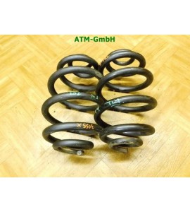 Feder Federn x 2 Stück hinten VW Transporter T4