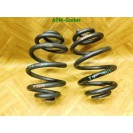 Feder Federn x 2 Stück hinten VW Transporter T4