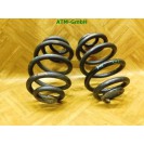 Feder Federn x 2 Stück hinten VW Transporter T4