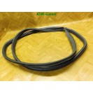 Türdichtung Dichtung vorne links Ford KA 2 II Fahrerseite