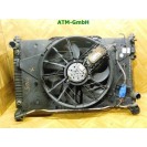 Wasserkühler Kühlerlüfter Mercedes Benz A-Klasse W169 A1695001193