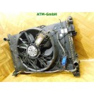 Wasserkühler Kühlerlüfter Mercedes Benz A-Klasse W169 A1695001193