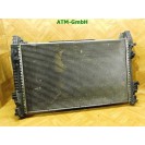 Wasserkühler Kühlerlüfter Mercedes Benz A-Klasse W169 A1695001193