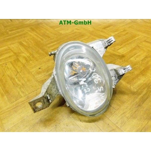 Nebelscheinwerfer Nebelleuchte NSW NSL rechts Peugeot 206 Beifahrerseite