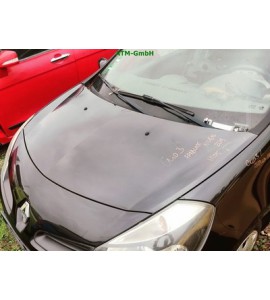 Motorhaube Renault Clio 3 III Farbcode NV676 Noir Nacre Schwarz Perleffekt