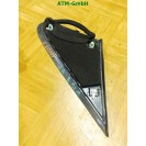 Spiegeldreieck Dreieck links Mercedes Benz A-Klasse W168 Fahrerseite