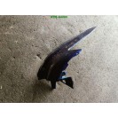 Heckstoßstange Stoßfänger links Ford Focus 3 III Kombi HF Indic Blau Metallic